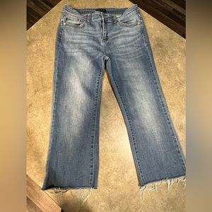 Judy Blue Cropped Denim